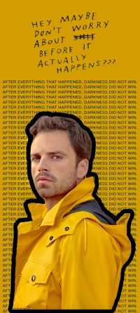 Sebastian Stan Lock Screen 3