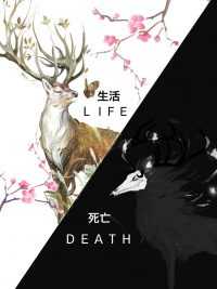 Wallpaper Life and Death 1