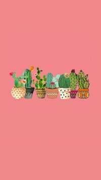 iPhone Cactus Wallpaper 3