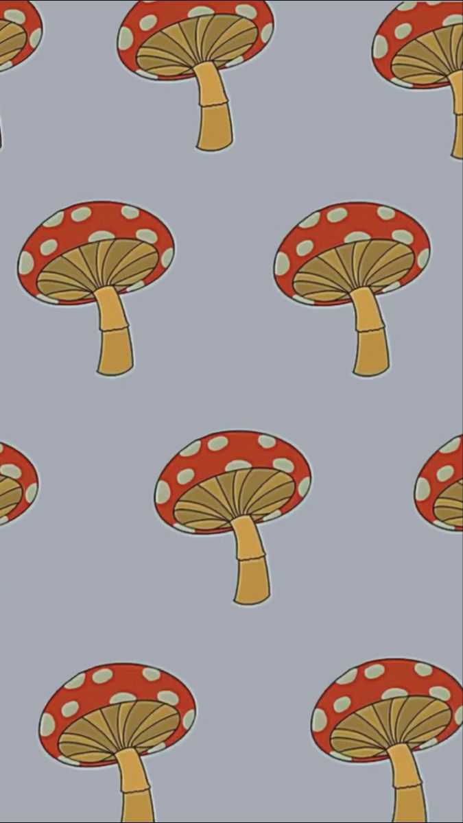 iPhone Mushroom Wallpaper 1