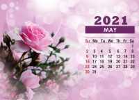 2021 May Calendar Wallpaper 9