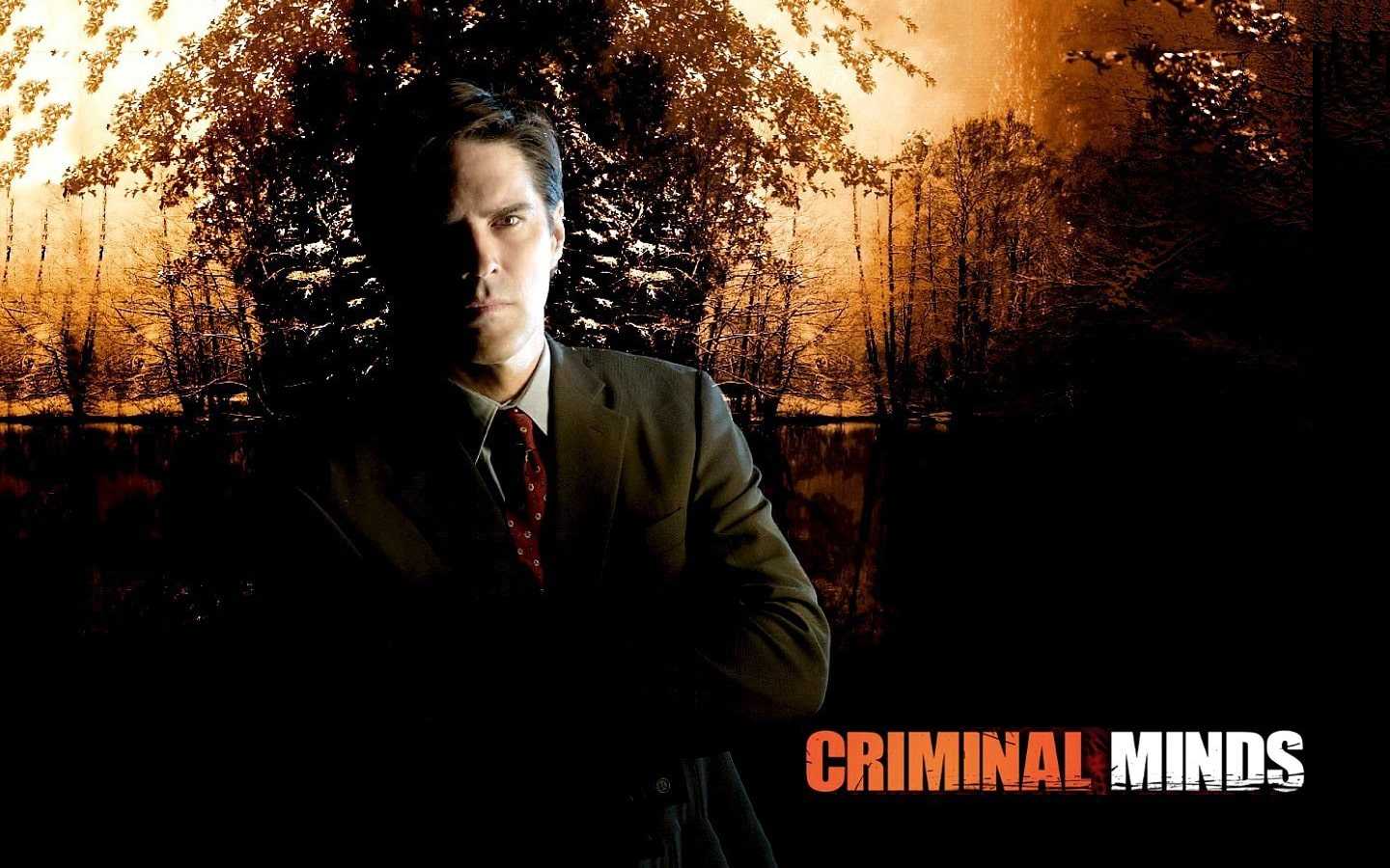Aaron Hotchner Wallpaper 1