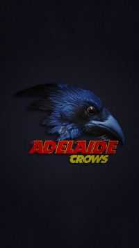Adelaide Crows Wallpaper 8