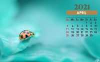 April 2021 Calendar Wallpaper 10