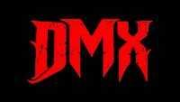 DMX Logo Wallpaper 9