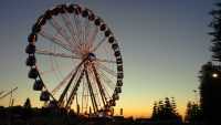 Ferris Wheel Wallpapers 4