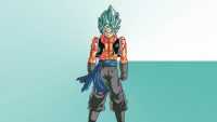 Gogeta Wallpaper 5