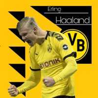 Haaland BVB Background 8