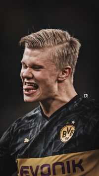 Haaland BVB Wallpaper 4