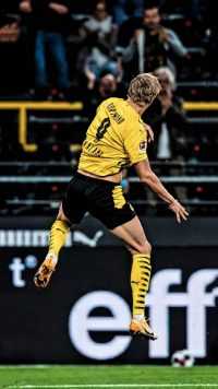 Haaland BVB Wallpaper 3