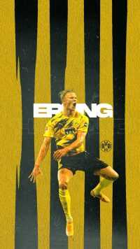 Haaland BVB Wallpaper 2