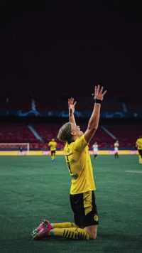 Haaland BVB Wallpaper 10