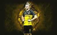 Haaland BVB Wallpaper 8