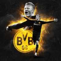 Haaland BVB Wallpapers 1