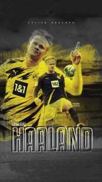 Haaland Dortmund Wallpaper 4