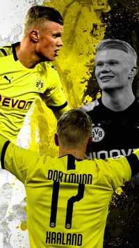 Haaland Dortmund Wallpaper 10