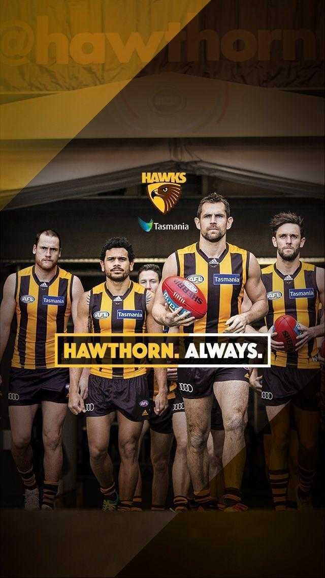 Hawthorn Always Wallpaper 1 Hawthorn Always Wallpaper 1