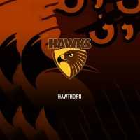 Hawthorn Hawks Background 1
