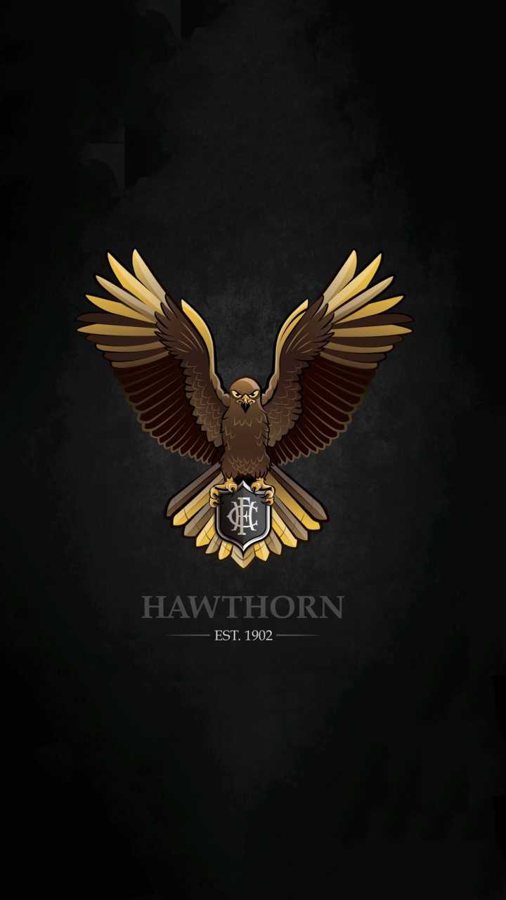 Hawthorn Hawks Wallpaper 1