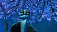 Master Oogway Wallpapers 6