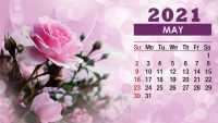 May 2021 Calendar Wallpaper 10