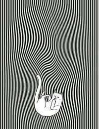 Middle Finger Cat Wallpaper 1