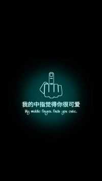 Middle Finger Wallpapers 2