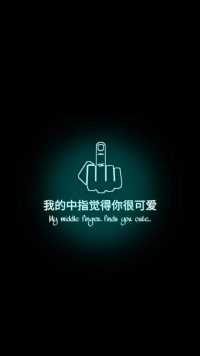 Middle Finger Wallpapers 1
