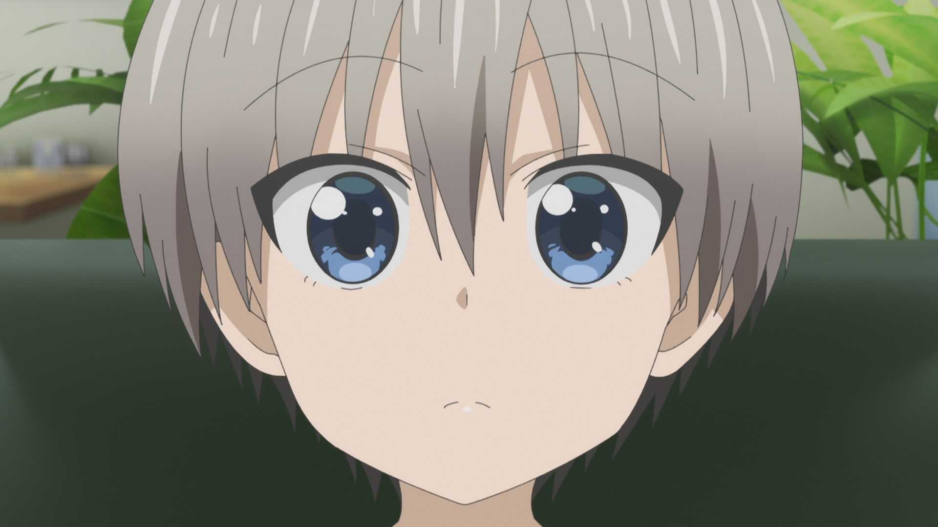 Uzaki Chan Wallpaper 1 Uzaki Chan Wallpaper 1