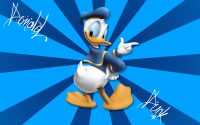 Donald Duck Wallpapers 7