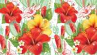 Hibiscus Wallpaper HD 2