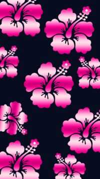 Hibiscus Wallpaper iPhone 10
