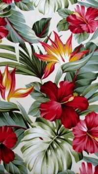 Hibiscus Wallpapers 3