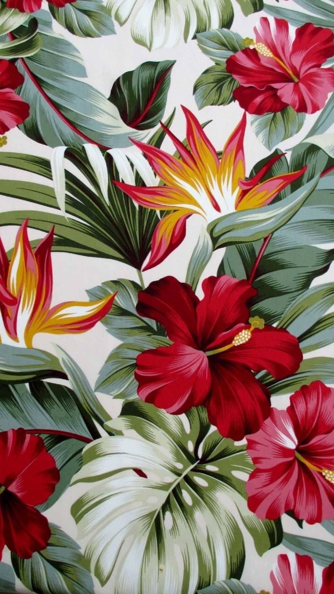 Hibiscus Wallpapers 1