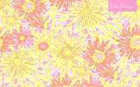 Lilly Pulitzer Desktop Wallpapers 2