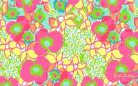 Lilly Pulitzer Wallpaper Computer 1