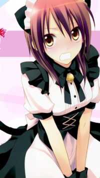 Misaki Ayuzawa Wallpaper 8