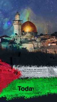 Palestine Wallpaper 6