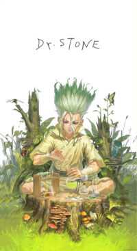 Senku Dr Stone Wallpapers 3