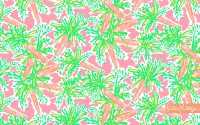 Wallpaper Lilly Pulitzer 2