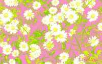 Wallpaper Lilly Pulitzer 6