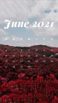 2021 June Calendar Wallpaper 1