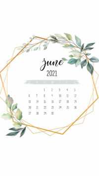 June 2021 Calendar Wallpaper 9