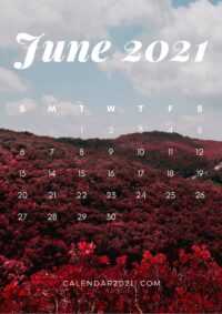 June 2021 Calendar Wallpaper 3