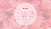 June Calendar 2021 Wallpaper 3