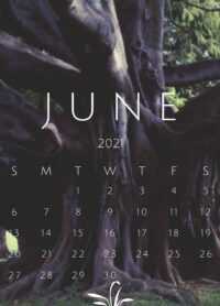 June Calendar 2021 Wallpapers 7