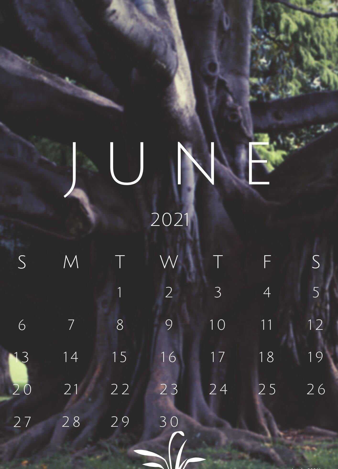 June Calendar 2021 Wallpapers 1