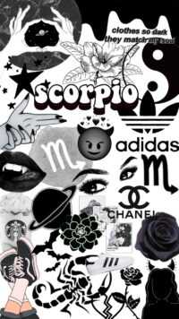 Scorpio Wallpaper 2