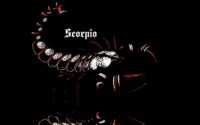 Scorpio Wallpaper HD 2