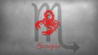 Scorpio Wallpaper HD 1